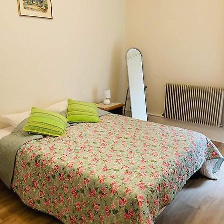 Appartement cosy Colmar Exterior foto